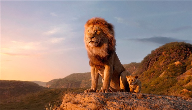Những giá trị của tình yêu thương và tình bạn được thể hiện rõ nét qua “Vua sư tử”