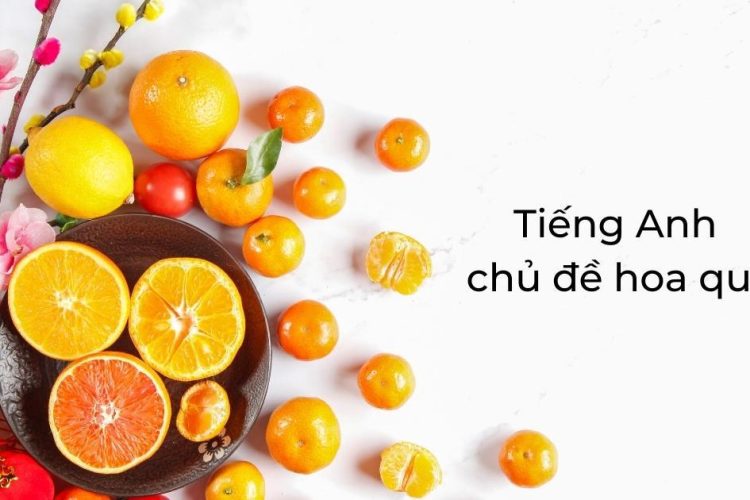 Từ vựng về các loại quả trong tiếng Anh thông dụng nhất