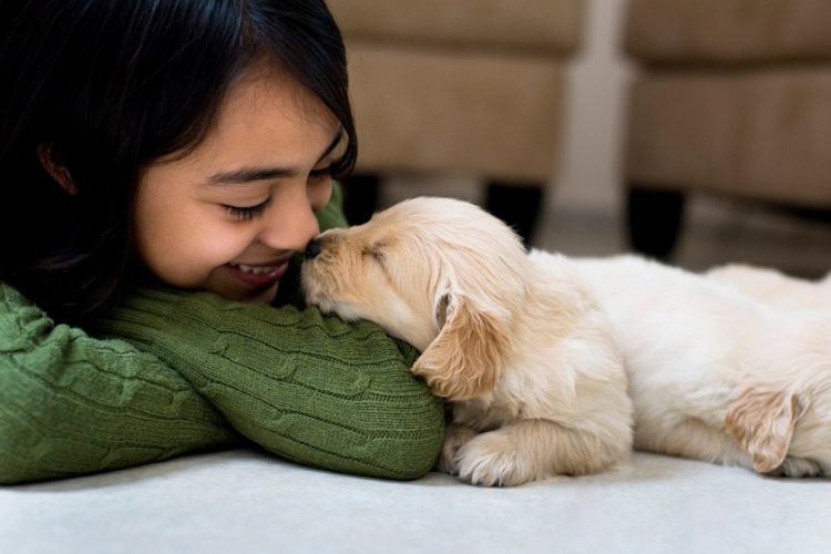 Học con vật bằng tiếng Anh và những mẫu bài tập dễ hiểu