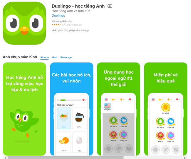 Phần mềm tiếng anh lớp 3 Duolingo có 2,4 triệu người dùng tại Việt Nam