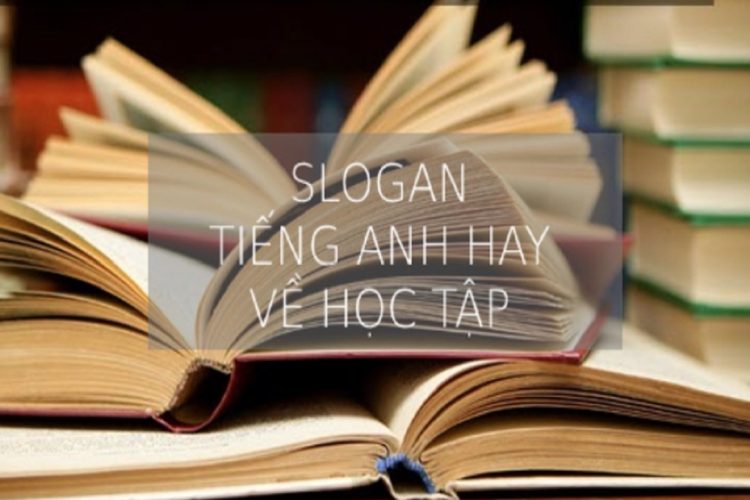 Bỏ túi 30+ thành ngữ tiếng Anh về học tập [Chọn Lọc Kỹ]