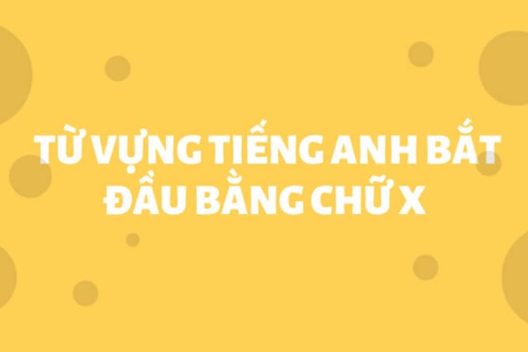 Bỏ túi 30+ từ tiếng Anh bắt đầu bằng chữ X thông dụng nhất
