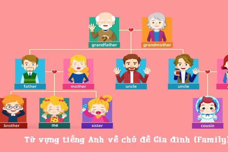 100 Từ vựng tiếng Anh về gia đình đầy đủ nhất cho bé