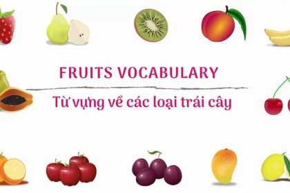 70+ từ vựng tiếng Anh về trái cây dễ học (kèm phát âm)