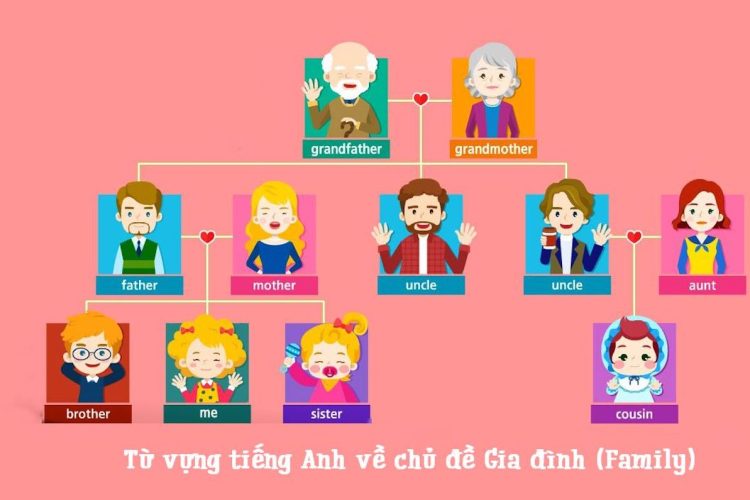 Tổng hợp 35+ từ vựng tiếng Anh về gia đình chi tiết nhất cho trẻ
