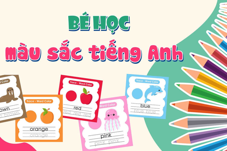Phương pháp giúp bé học màu sắc trong Tiếng Anh mà bố mẹ nên biết