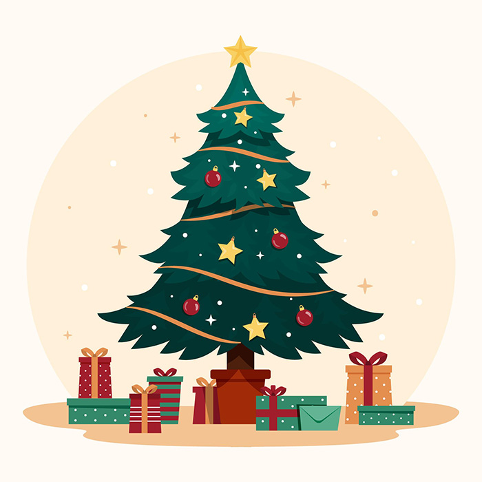 Viết đoạn văn tiếng Anh về trang trí cây thông Noel